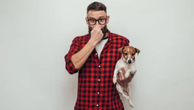 犬のガス： どのような場合に問題となるのか？