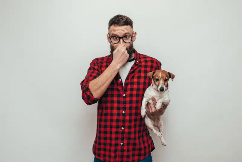 犬のガス: どのような場合に問題となるのか?
